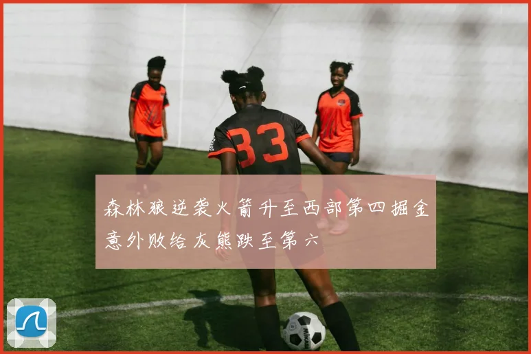 森林狼逆袭火箭升至西部第四掘金意外败给灰熊跌至第六